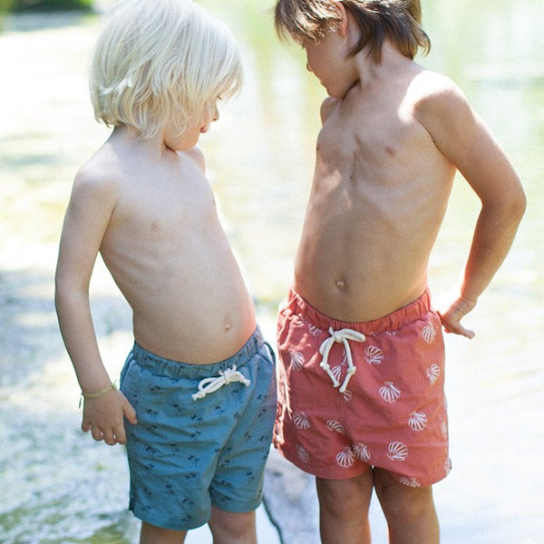 Boys Printed Swimsuit
